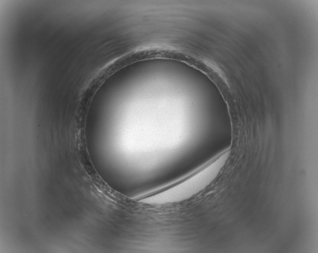 X0000071760872200606300913