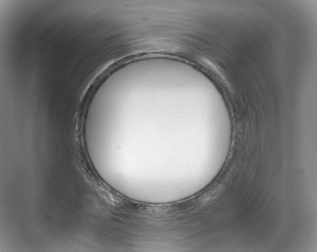 X0000071760875200606300913