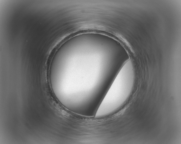 X0000071760877200606300913