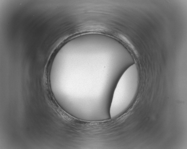 X0000071760883200606300913