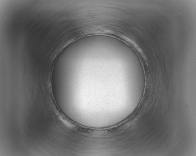 X0000071760889200606300913