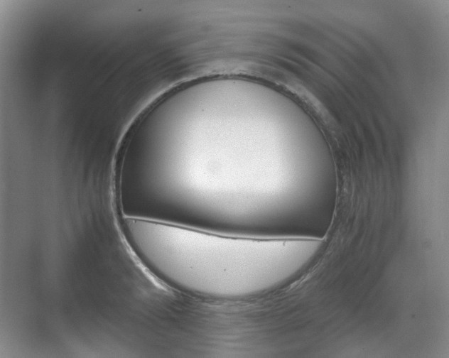 X0000071760894200606300913