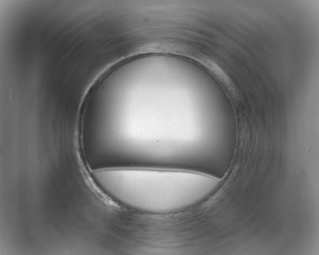 X0000071760896200606300913
