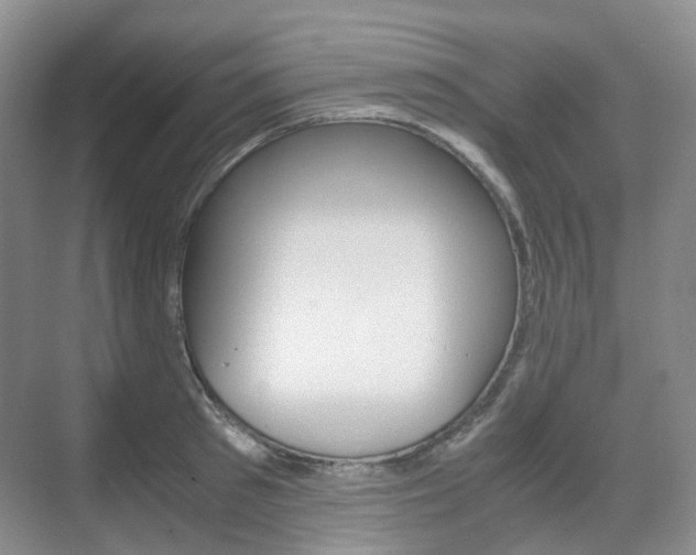 X0000071760897200606300913