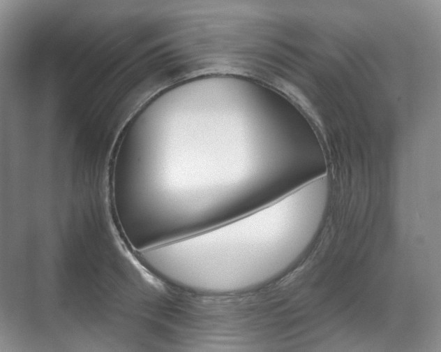 X0000071760898200606300913