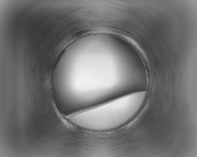 X0000071760905200606300913