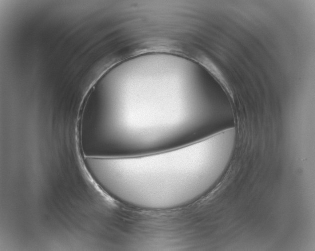 X0000071760906200606300913
