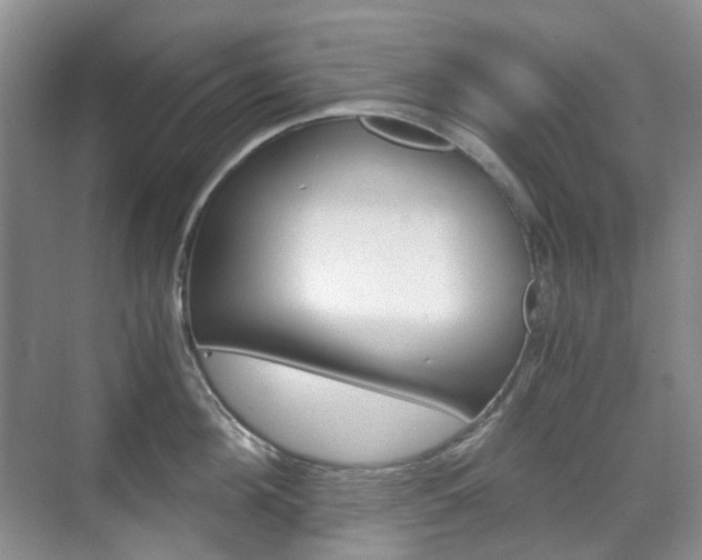X0000071760908200606300913