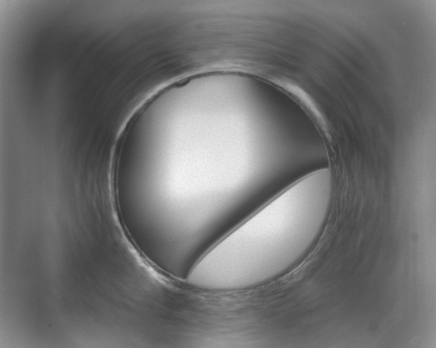X0000071760910200606300913