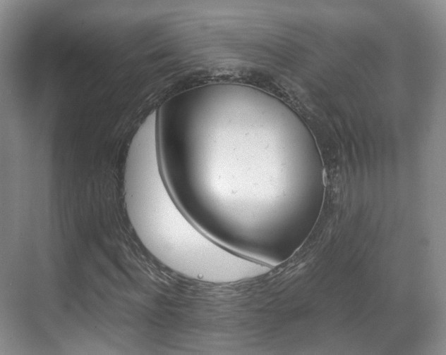 X0000071760916200606300912
