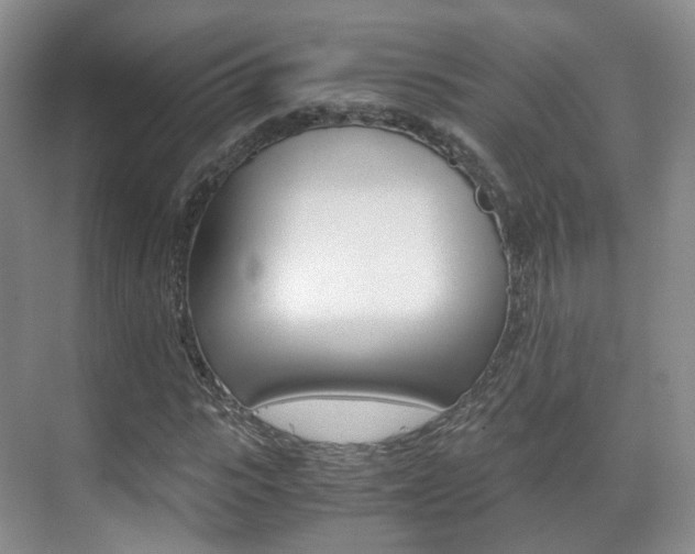 X0000071760919200606300912