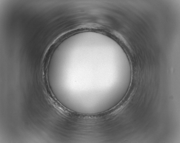 X0000071760923200606300912