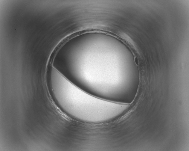 X0000071760924200606300912