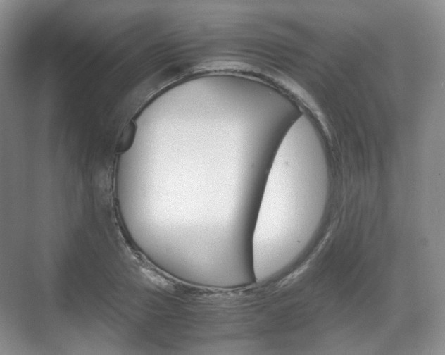 X0000071760937200606300912