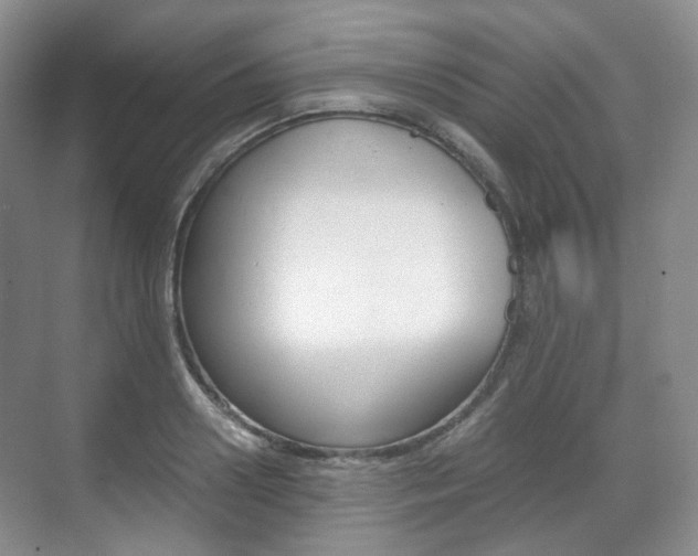 X0000071760938200606300912
