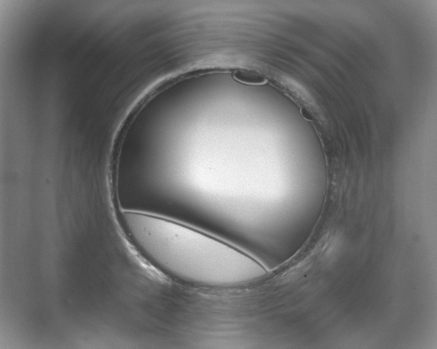 X0000071760942200606300912