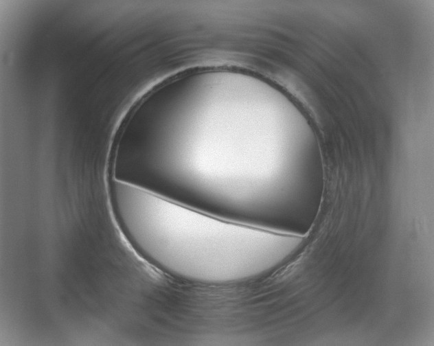 X0000071760943200606300912