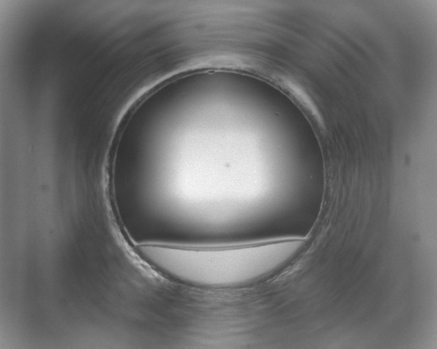 X0000071760944200606300912