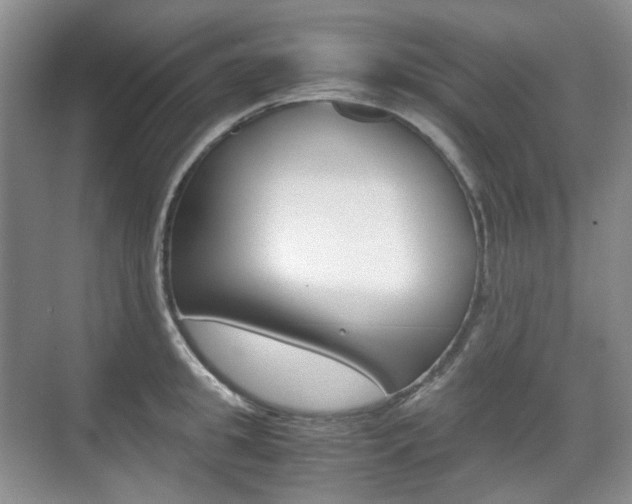 X0000071760949200606300912