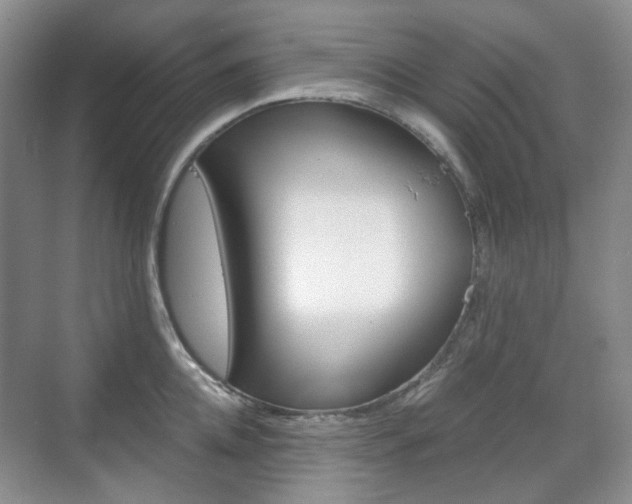 X0000071760952200606300912