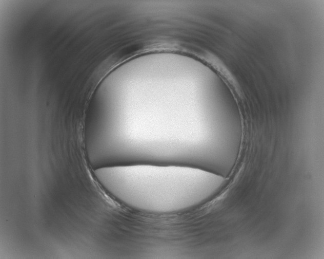 X0000071760953200606300912