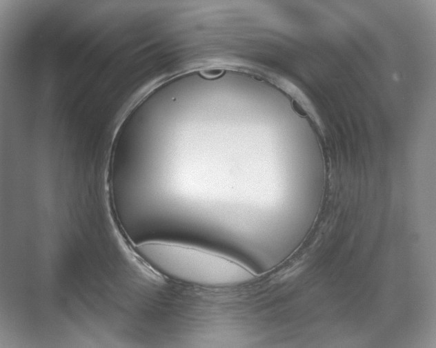 X0000071760954200606300912