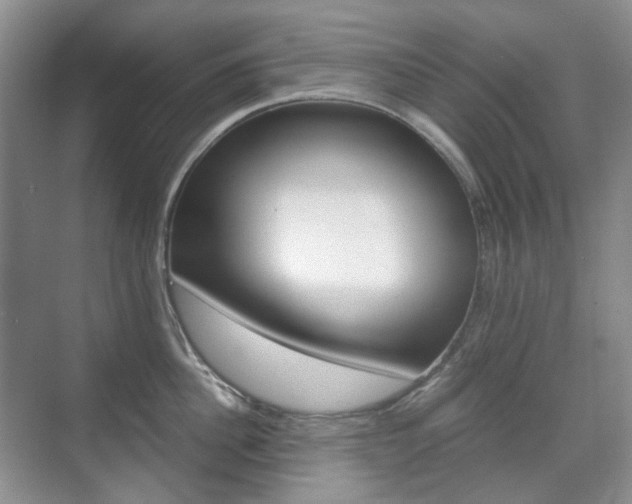 X0000071760956200606300912