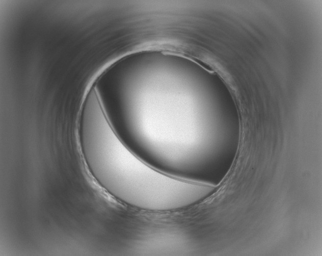 X0000071760960200606300912