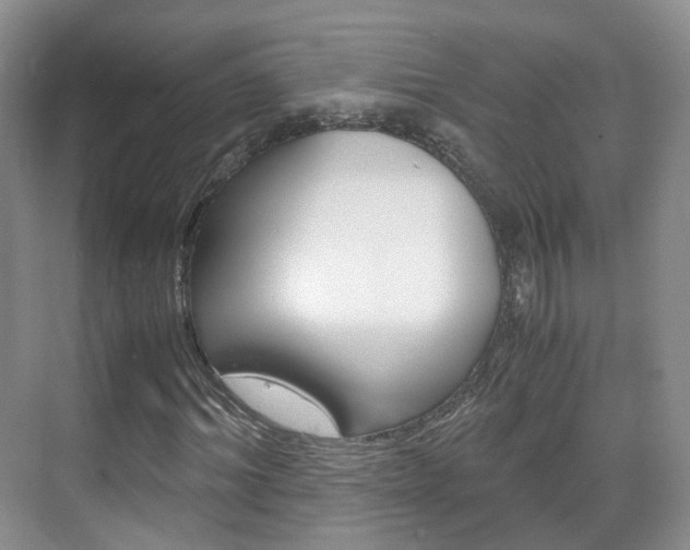 X0000071760964200606300912