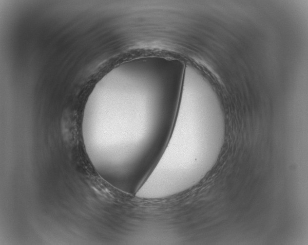 X0000071760968200606300912