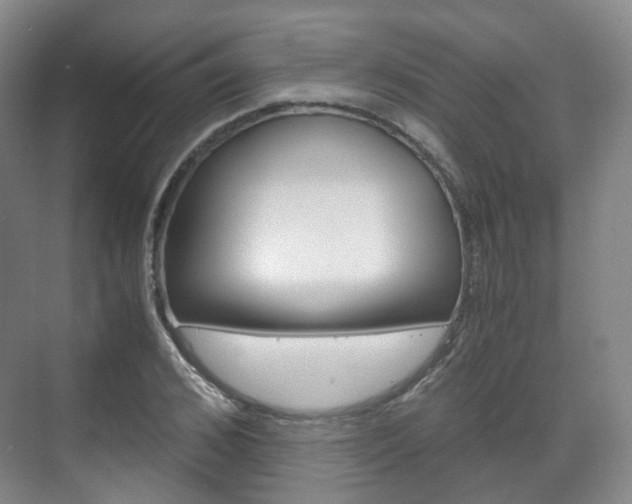 X0000071760976200606300911