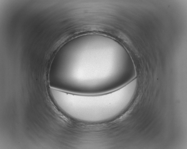 X0000071760977200606300911