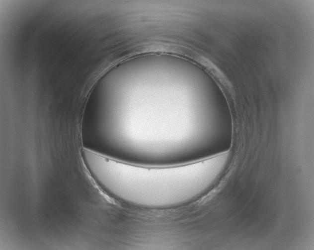 X0000071760993200606300911