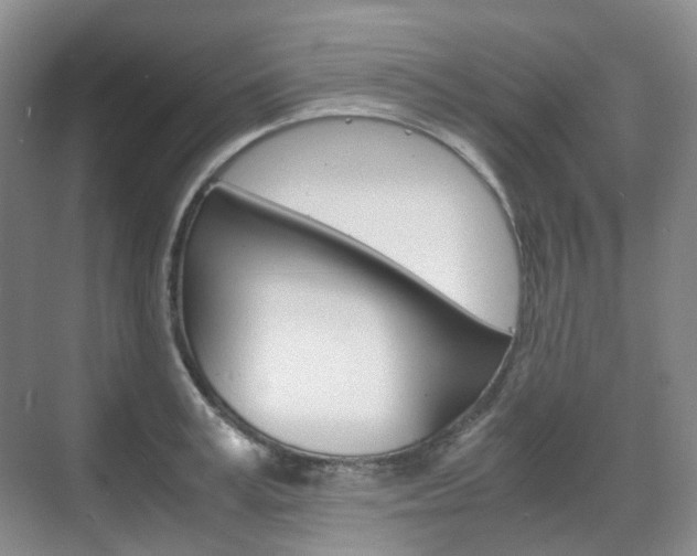 X0000071760995200606300911
