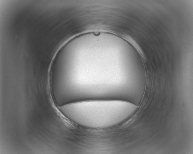 X0000071761004200606300911