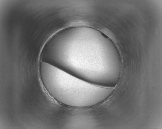 X0000071761008200606300911