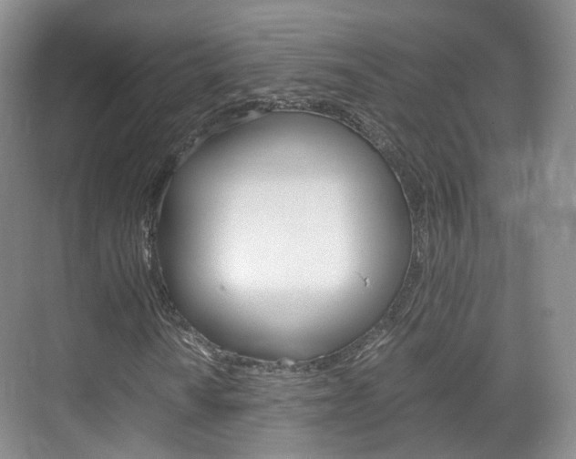X0000071761010200606300910