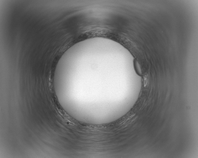 X0000071761011200606300910