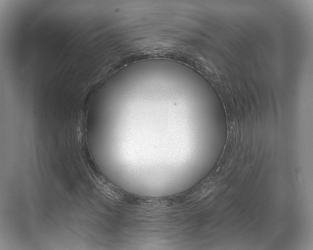 X0000071761012200606300910
