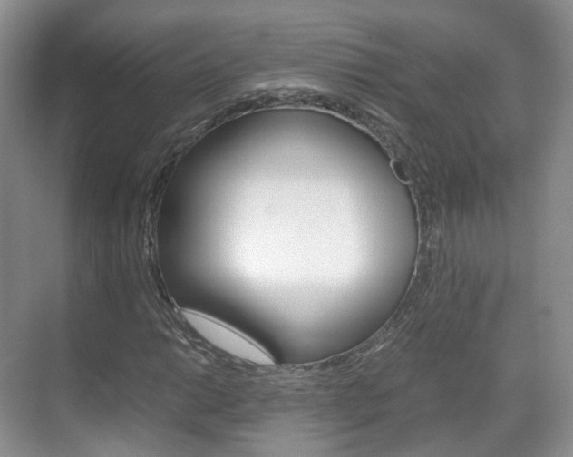 X0000071761014200606300910