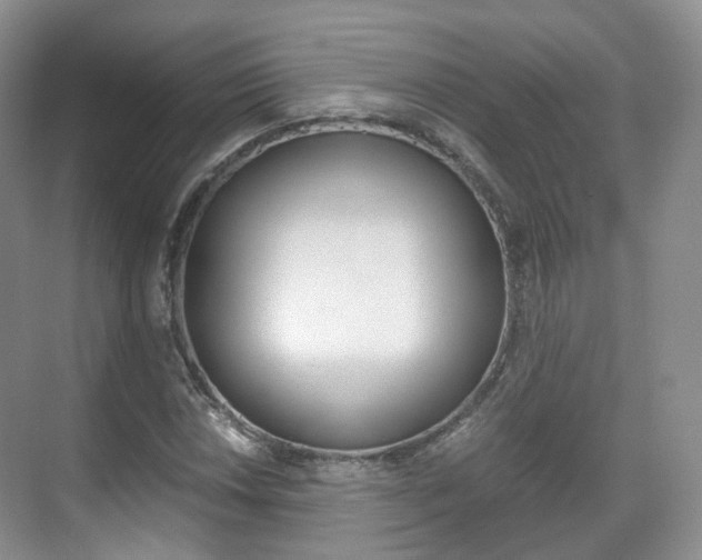 X0000071761018200606300910