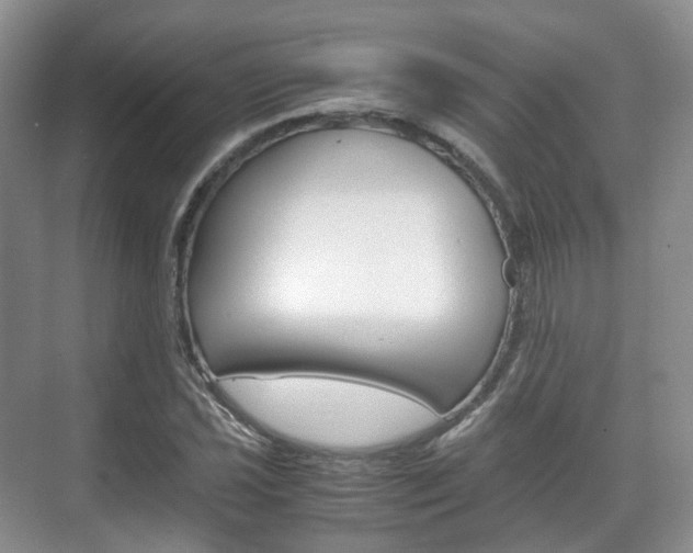 X0000071761021200606300910
