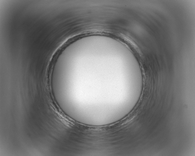 X0000071761023200606300910
