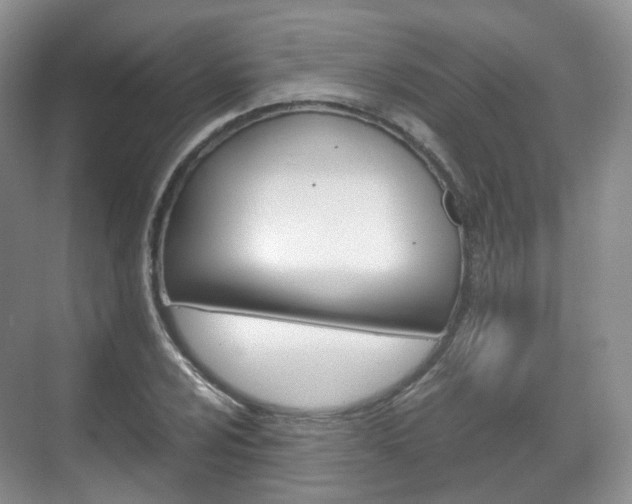X0000071761024200606300910