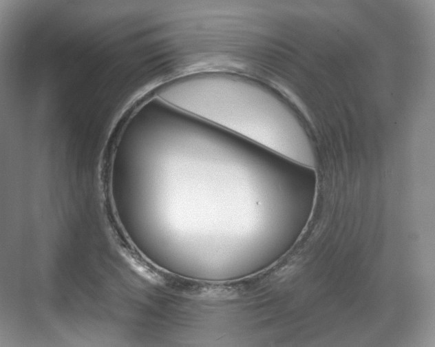 X0000071761026200606300910