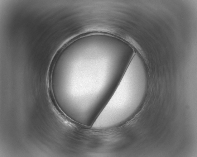 X0000071761028200606300910