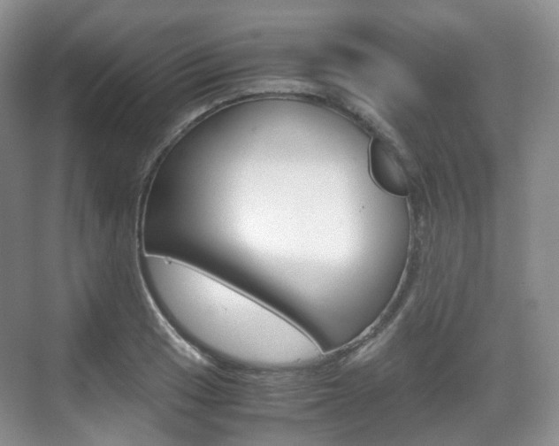 X0000071761033200606300910