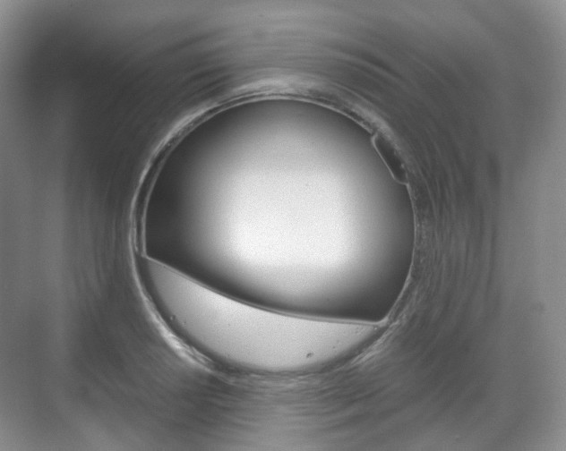 X0000071761034200606300910