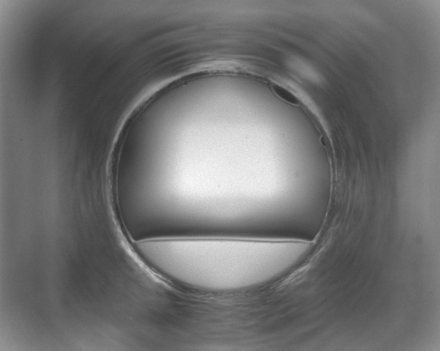 X0000071761045200606300911