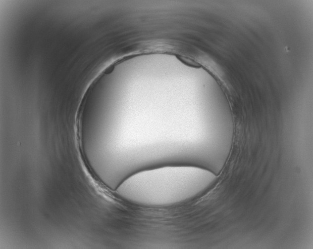 X0000071761047200606300911